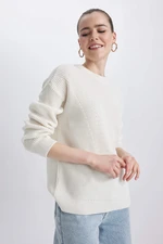 DEFACTO Regular Fit Crew Neck Knitwear Pullover