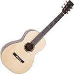 Recording King RP-G6 Guitare acoustique