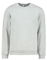 Men's sweatshirt by Aliatic