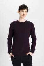 DEFACTO Men's Claret Red Standard Fit Regular Cut Crew Neck Textured Basic Knitwear Sweater