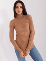 Dark camel fitted turtleneck sweater