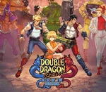 Double Dragon Gaiden: Rise Of The Dragons EU XBOX One / Xbox Series X|S CD Key