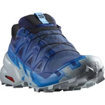 Salomon Speedcross 6 GTX EU 44, Blue Print/Ibiza Blue/Quarry Pánské běžecké boty