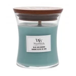 WoodWick Blue Java Banana 85 g vonná sviečka unisex