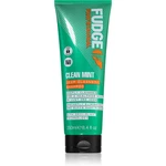 Fudge Clean Mint Shampoo šampón na mastné vlasy 250 ml