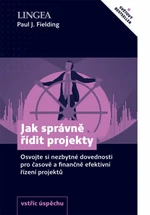 Jak správně řídit projekty - Paul J. Fielding