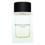 Bottega Veneta Illusione toaletní voda pro muže 90 ml