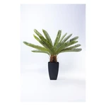 KARE DESIGN Dekorativní rostlina Cycas Tree 78 cm