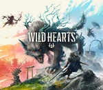 WILD HEARTS Epic Games Account