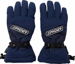 Spyder Mens Overweb GTX Ski Gloves True Navy M Gant de ski