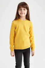 DEFACTO Girl Regular Fit Crew Neck Pullover