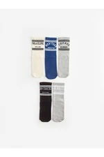 LC Waikiki Patterned Boy Socks Set of 5