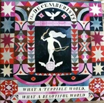 The Decemberists - What A Terrible World, What A Beautiful World (2 LP) (180g)