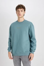 DEFACTO Boxy Fit Crew Neck Printed Sweatshirt