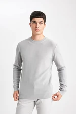 DEFACTO Standard Fit Crew Neck Knitwear Sweater