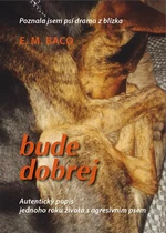 Bude dobrej... (Defekt) - Emília Miluše Baco