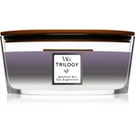 Woodwick Trilogy Amethyst Sky vonná svíčka s dřevěným knotem (hearthwick) 453,6 g