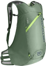 Ortovox Trace 20 Green Isar Borsa da viaggio sci