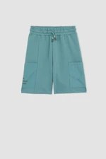 DEFACTO Boy Regular Fit Shorts