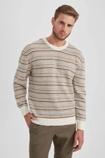 DEFACTO Standard Fit Patterned Crew Neck Sweater