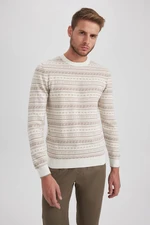 DEFACTO Standard Fit Patterned Crew Neck Sweater