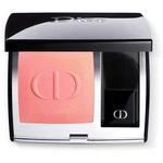 DIOR Rouge Blush kompaktní tvářenka se štětcem a zrcátkem odstín 219 Rose Montaigne (Shimmer) 6,7 g