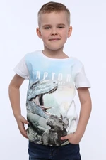 Boy's T-shirt with dinosaur