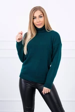 Sweater with sea turtleneck