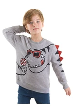 Denokids Candy Store Dinosaur Boys Gray Sweatshirt