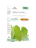 Flora Natura Ginkgo biloba BIO 20x15 ml