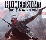 Homefront: The Revolution + Revolutionary Spirit Pack INDIA Steam Gift