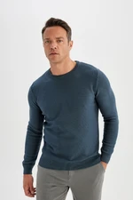 DEFACTO Blue Standard Fit Regular Cut Crew Neck Textured Knit Sweater