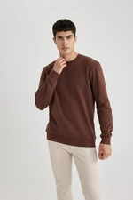 DEFACTO Regular Fit Crew Neck Cotton Basic Sweatshirt