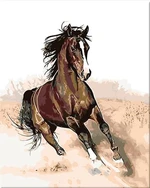 Zuty Peinture par numéros Cheval au galop