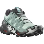 Salomon Speedcross 6 EU 38, Yucca/Ebony/White Dámské běžecké boty