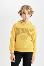 DEFACTO Boy Oversize Wide Pattern Printed Hooded Thick Sweatshirt