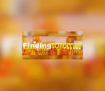 Finding summer EU PC Steam CD Key