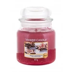 Yankee Candle Frosty Gingerbread 411 g vonná svíčka unisex