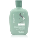 Alfaparf Milano Semi Di Lino Scalp Rebalance šampón pre mastnú vlasovú pokožku 250 ml