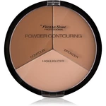 Pierre René Powder Contouring kontúrovacia paletka na tvár 23 g