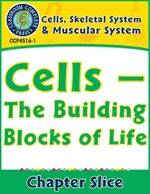 Cells, Skeletal & Muscular Systems