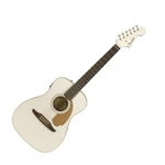 Fender Malibu Player Wn Ag