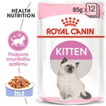 Royal Canin Pouch Kitten Instinctive Jelly - 85g