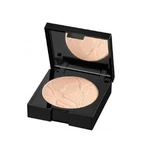 Alcina Matující pudr a make-up 2 v 1 (Matt Sensation Powder) 9 g Light