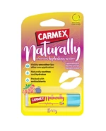 CARMEX Natural Hydratační balzám na rty malina borůvka 4,25 g