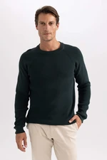 DEFACTO Standard Fit Crew Neck Knitwear Pullover