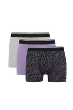 DEFACTO Regular Fit 3-pack Boxer