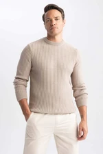 DEFACTO Standard Fit Crew Neck Knitwear Pullover