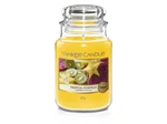 Yankee Candle Vonná svíčka Classic velká Tropical Starfruit 623 g