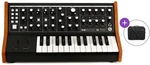 MOOG Subsequent 25 SET Sintetizador